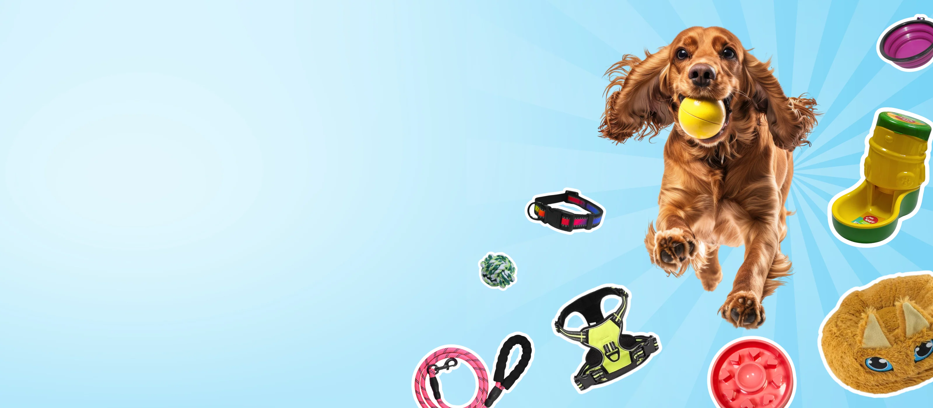 Estilo y Bienestar para Mascotas