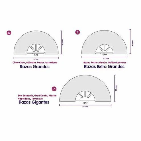 Collar Isabelino - Image 3