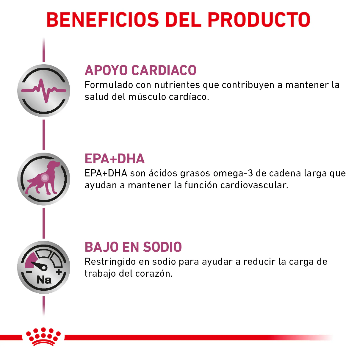 Early Cardiac - Image 5