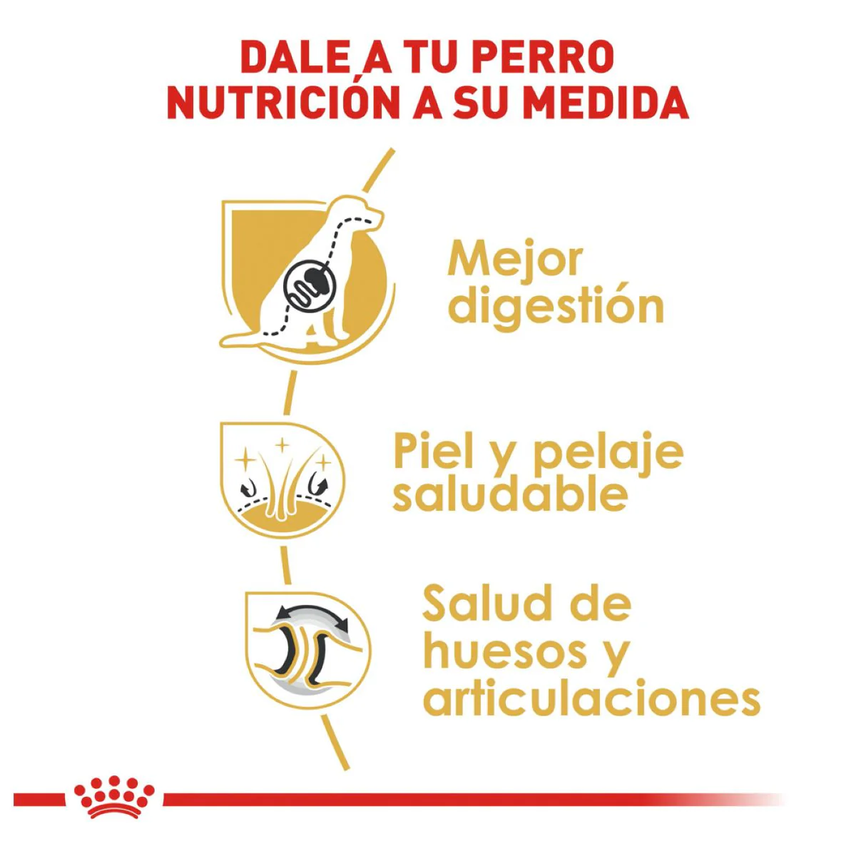 German Sheperd 13.6 Kg. - Image 5