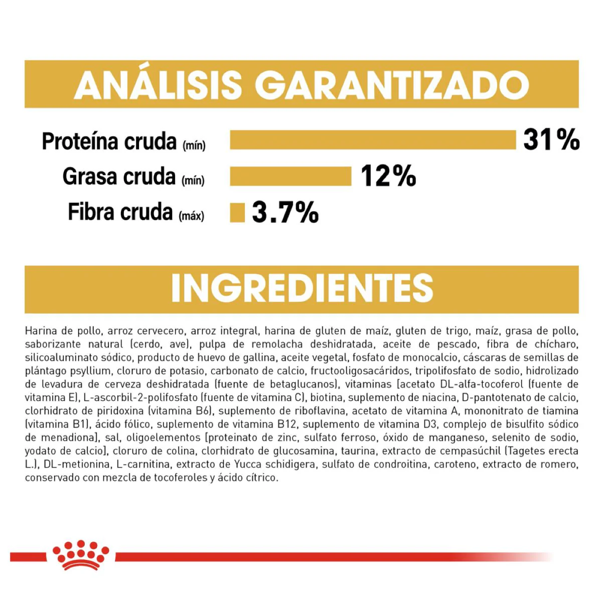 Labrador Retriever Puppy 13.6 Kg. - Image 7