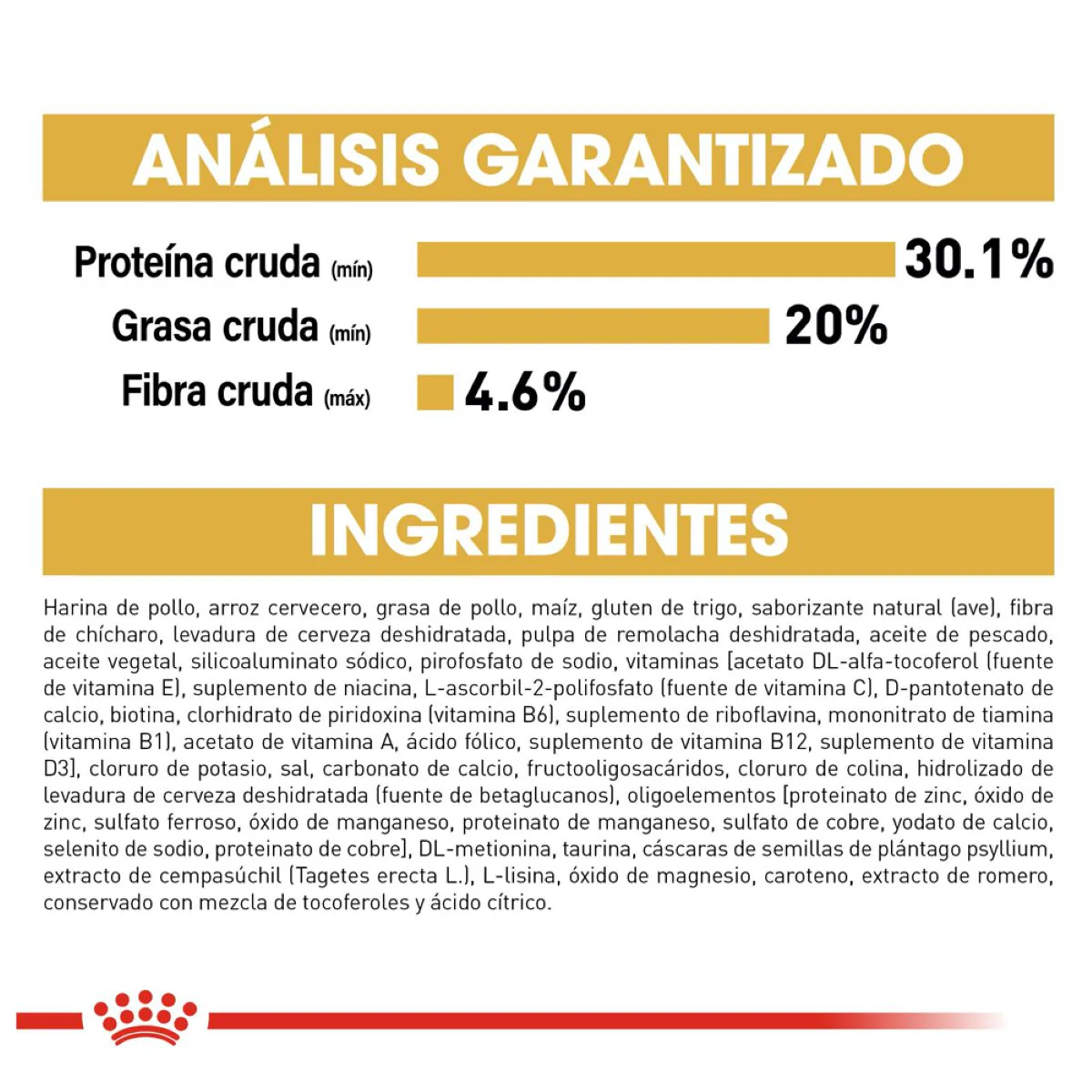 Persian Kitten 1.3kg - Image 7