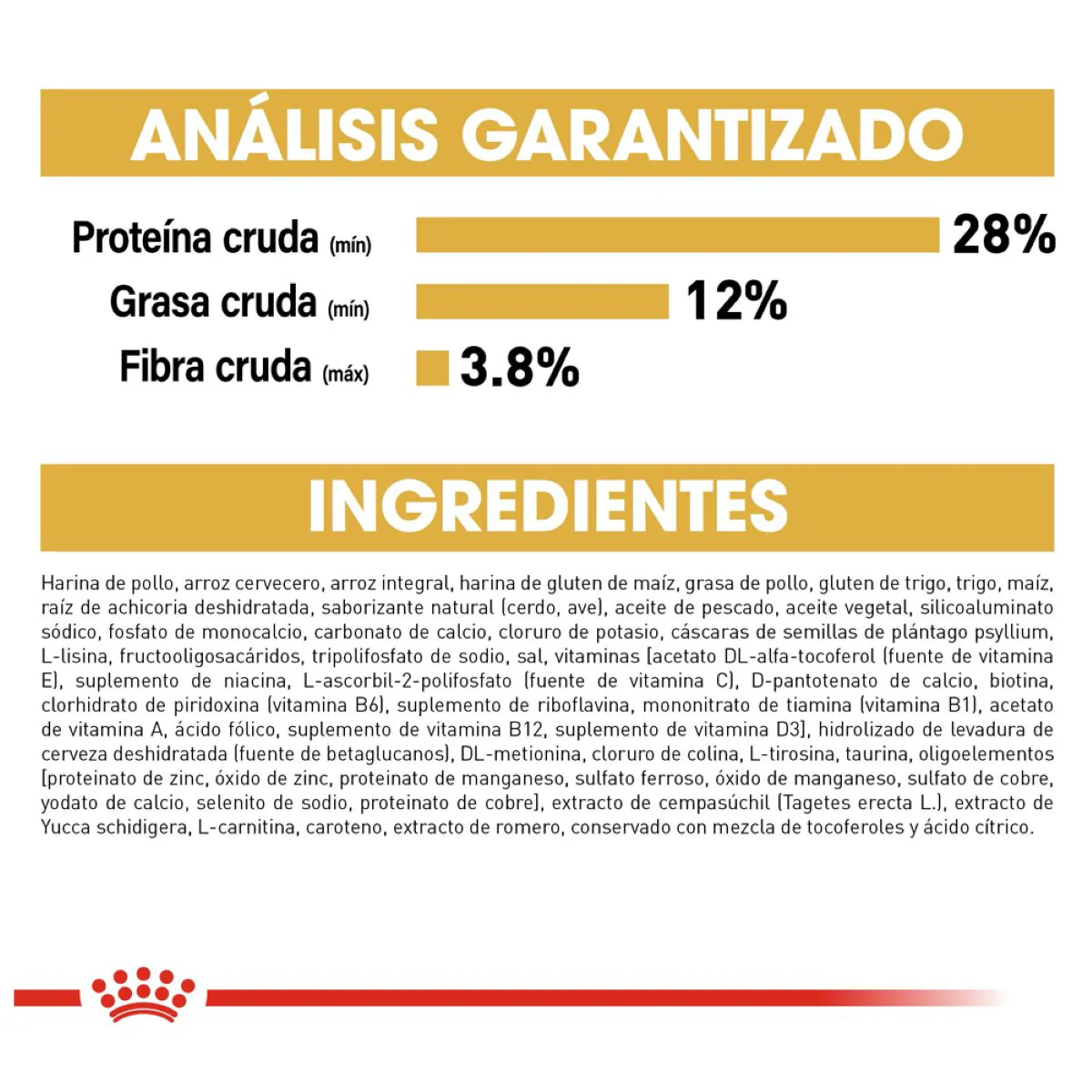 Schnauzer Puppy 1.1 Kg. - Image 7
