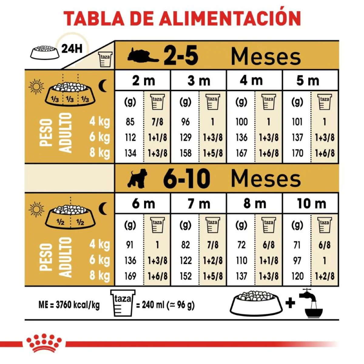 Schnauzer Puppy 1.1 Kg. - Image 8